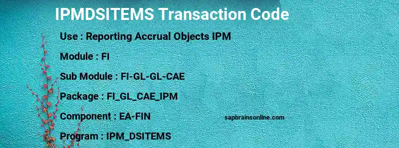 SAP IPMDSITEMS transaction code