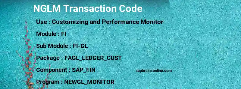 SAP NGLM transaction code