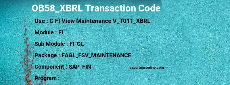 SAP OB58_XBRL transaction code