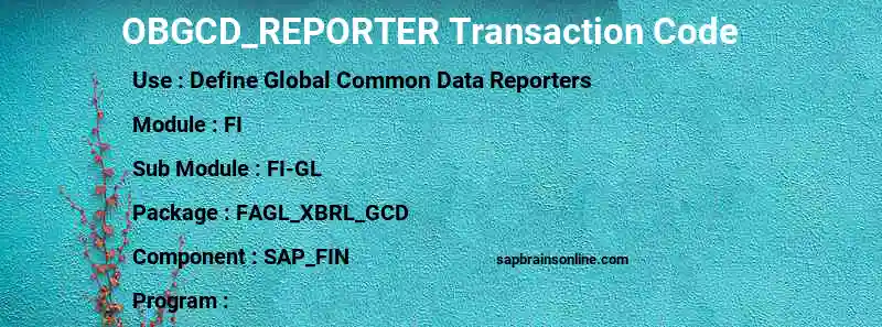 SAP OBGCD_REPORTER transaction code