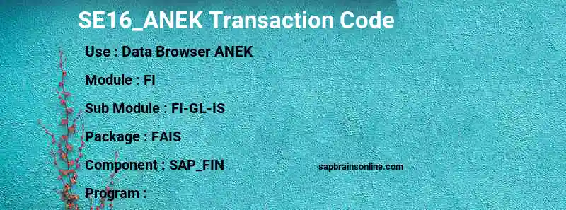 SAP SE16_ANEK transaction code