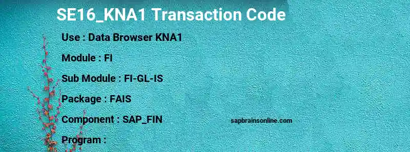 SAP SE16_KNA1 transaction code