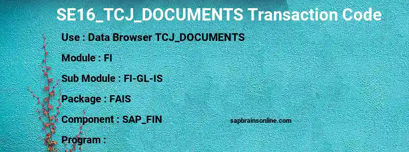 SAP SE16_TCJ_DOCUMENTS transaction code