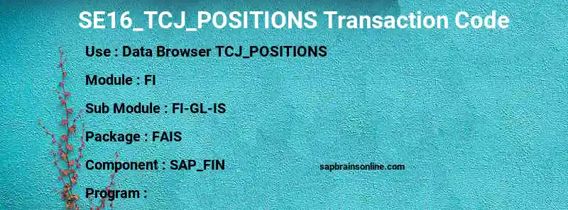 SAP SE16_TCJ_POSITIONS transaction code
