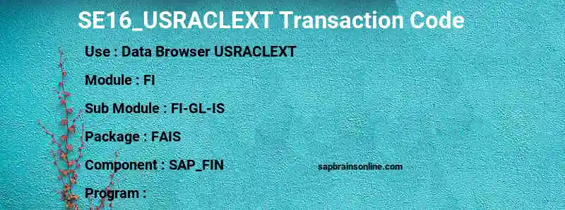 SAP SE16_USRACLEXT transaction code