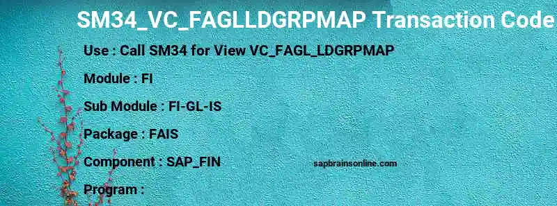 SAP SM34_VC_FAGLLDGRPMAP transaction code