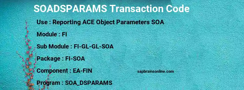 SAP SOADSPARAMS transaction code