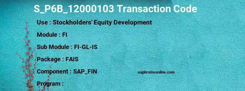 SAP S_P6B_12000103 transaction code