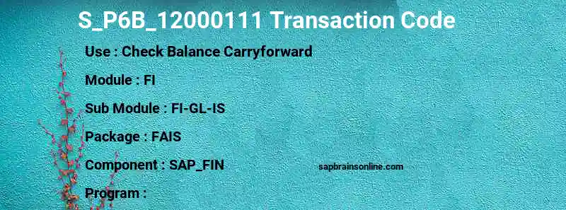 SAP S_P6B_12000111 transaction code