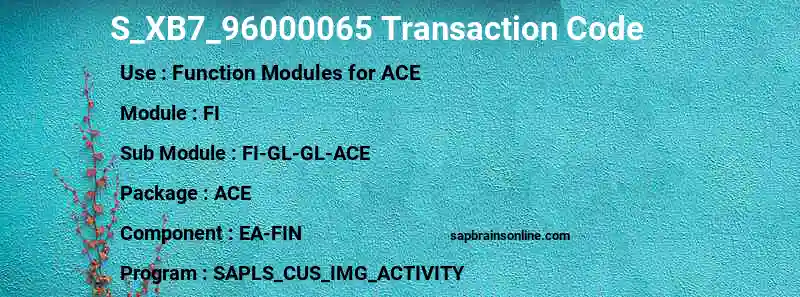 SAP S_XB7_96000065 transaction code