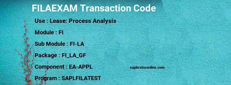 SAP FILAEXAM transaction code
