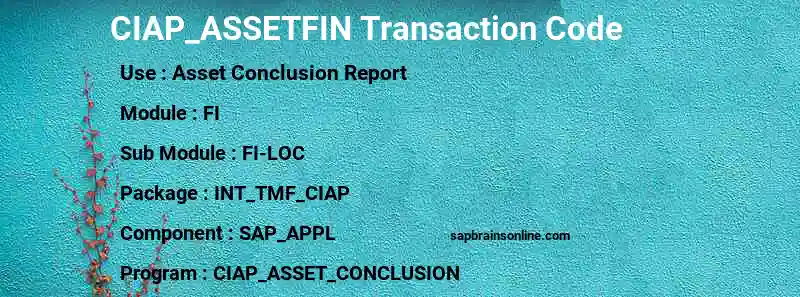 SAP CIAP_ASSETFIN transaction code