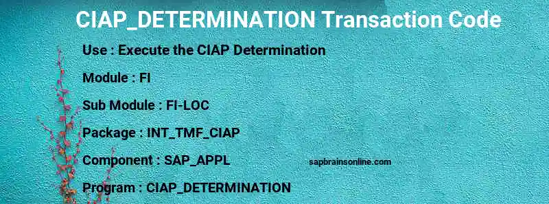 SAP CIAP_DETERMINATION transaction code