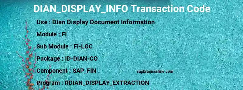 SAP DIAN_DISPLAY_INFO transaction code