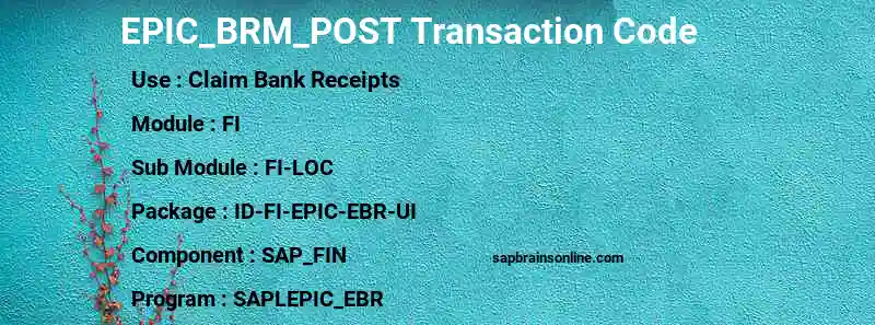 SAP EPIC_BRM_POST transaction code