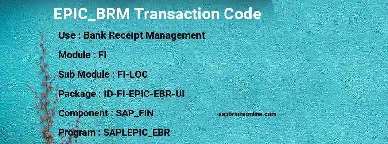 SAP EPIC_BRM transaction code