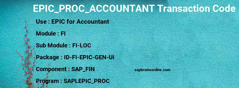 SAP EPIC_PROC_ACCOUNTANT transaction code
