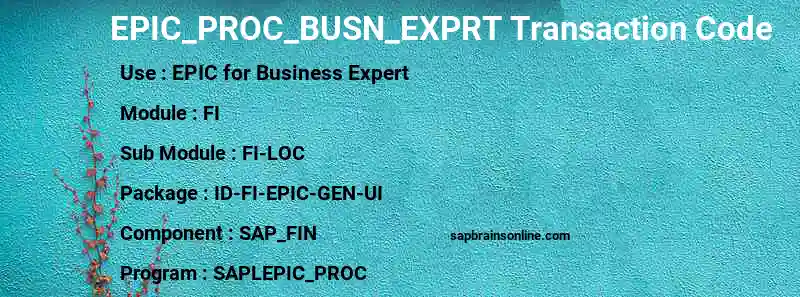 SAP EPIC_PROC_BUSN_EXPRT transaction code