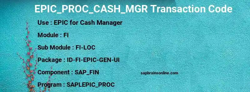 SAP EPIC_PROC_CASH_MGR transaction code