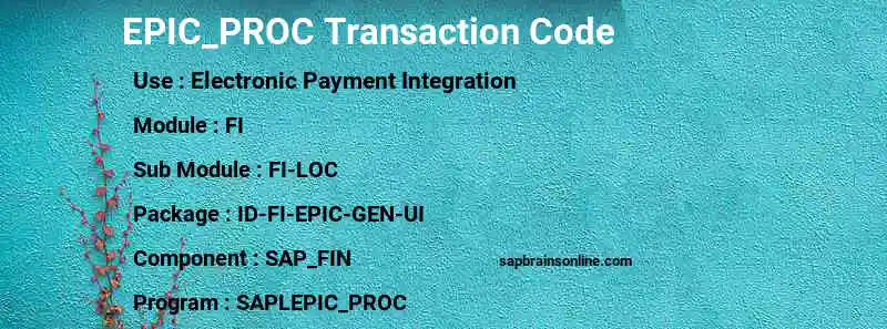 SAP EPIC_PROC transaction code