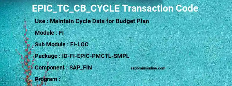 SAP EPIC_TC_CB_CYCLE transaction code