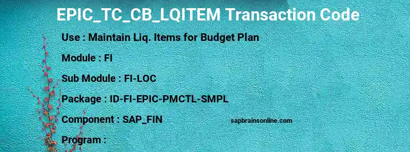 SAP EPIC_TC_CB_LQITEM transaction code