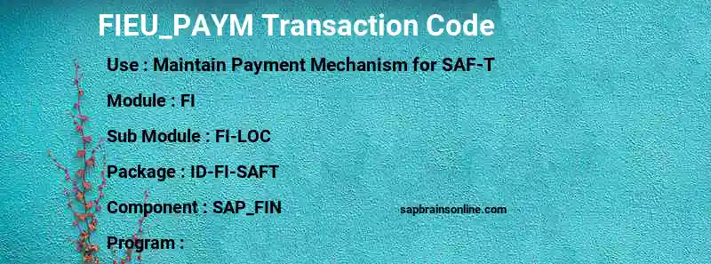 SAP FIEU_PAYM transaction code