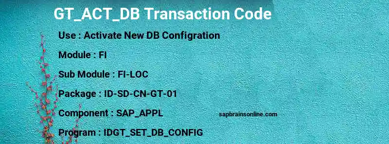SAP GT_ACT_DB transaction code