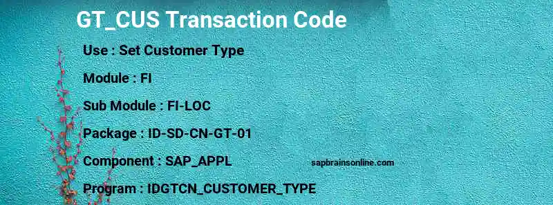 SAP GT_CUS transaction code