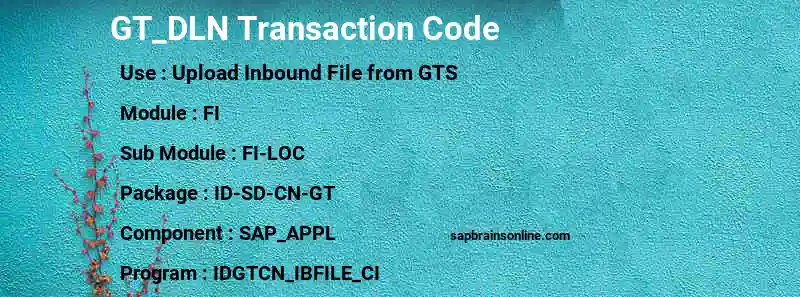 SAP GT_DLN transaction code
