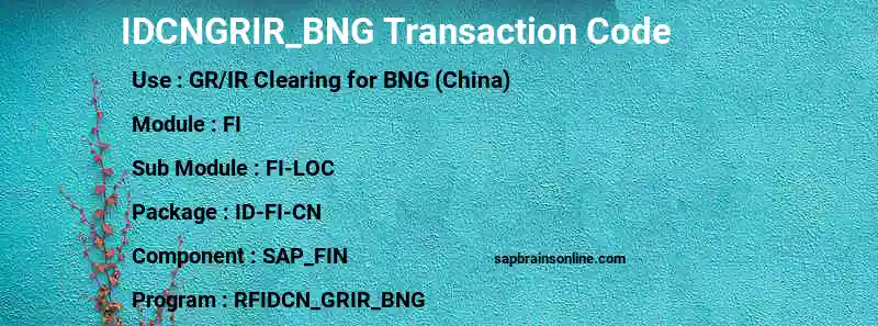 SAP IDCNGRIR_BNG transaction code