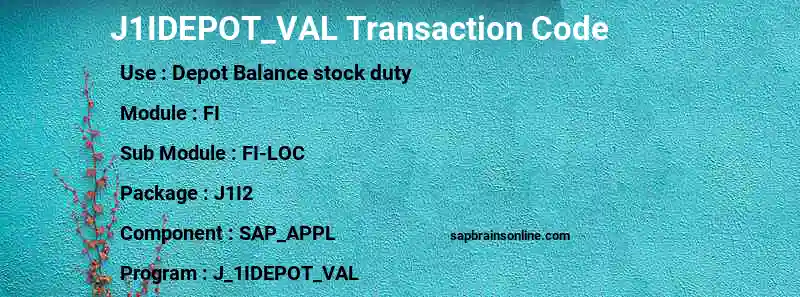 SAP J1IDEPOT_VAL transaction code