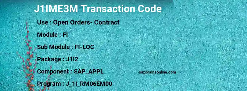 SAP J1IME3M transaction code