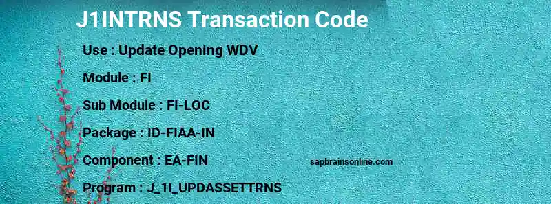 SAP J1INTRNS transaction code