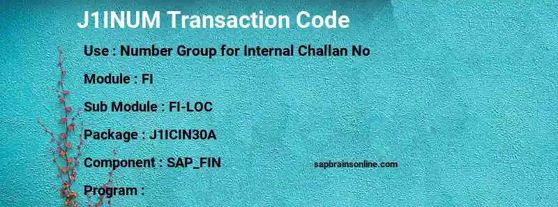 SAP J1INUM transaction code
