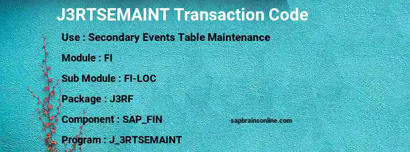 SAP J3RTSEMAINT transaction code