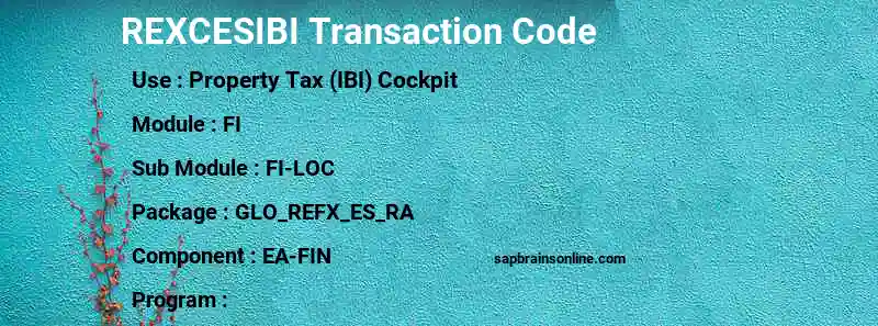 SAP REXCESIBI transaction code