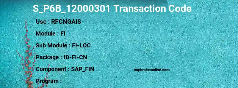 SAP S_P6B_12000301 transaction code