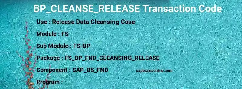 SAP BP_CLEANSE_RELEASE transaction code
