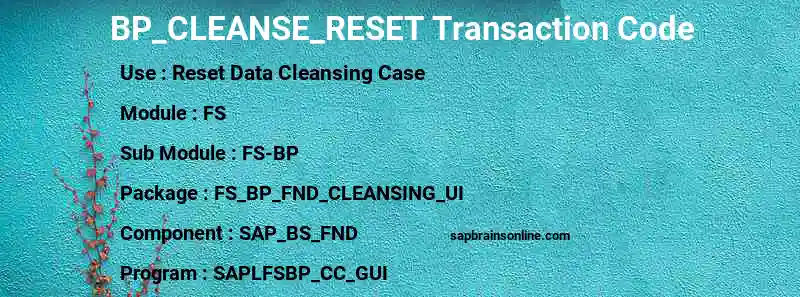SAP BP_CLEANSE_RESET transaction code