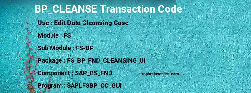 SAP BP_CLEANSE transaction code