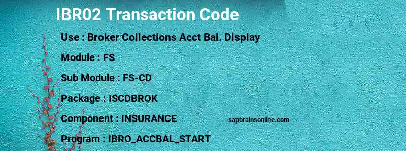 SAP IBR02 transaction code