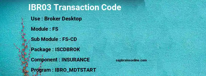 SAP IBR03 transaction code