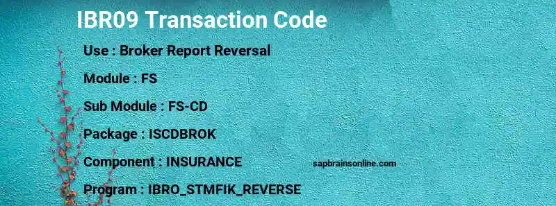SAP IBR09 transaction code