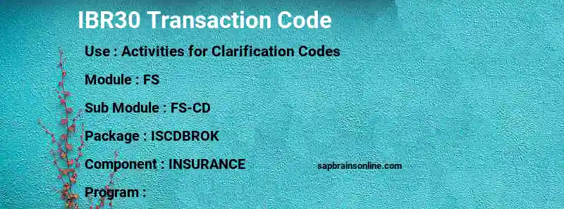 SAP IBR30 transaction code