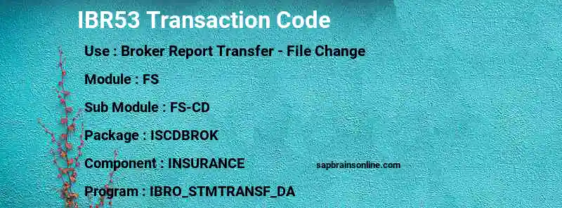 SAP IBR53 transaction code