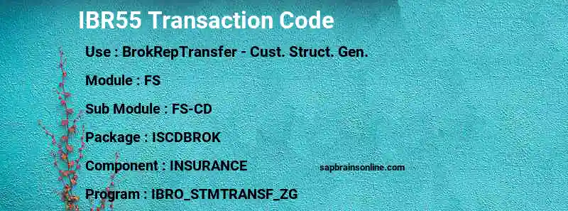 SAP IBR55 transaction code