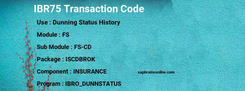 SAP IBR75 transaction code
