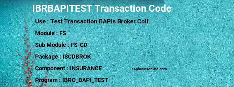 SAP IBRBAPITEST transaction code