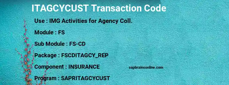 SAP ITAGCYCUST transaction code